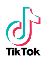 Tik Tok BLK